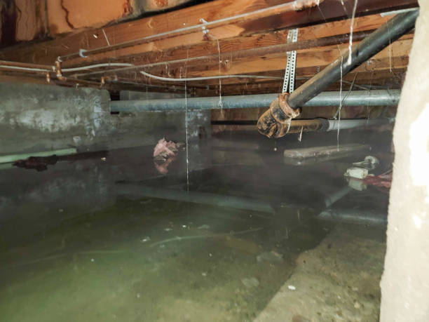 Best Fire Damage Restoration  in South Charleston, WV