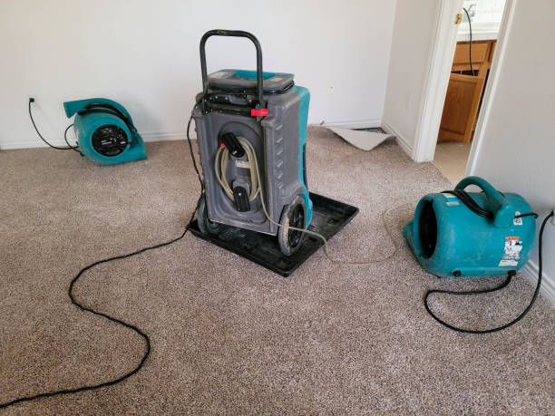 Best Sewage cleanup and water damage restoration  in South Charleston, WV