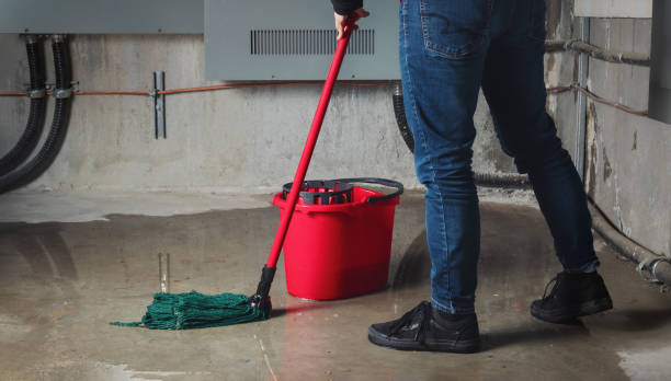 Best Water damage restoration near me  in South Charleston, WV