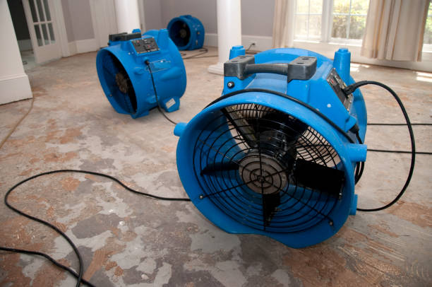 Best Local water damage restoration  in South Charleston, WV