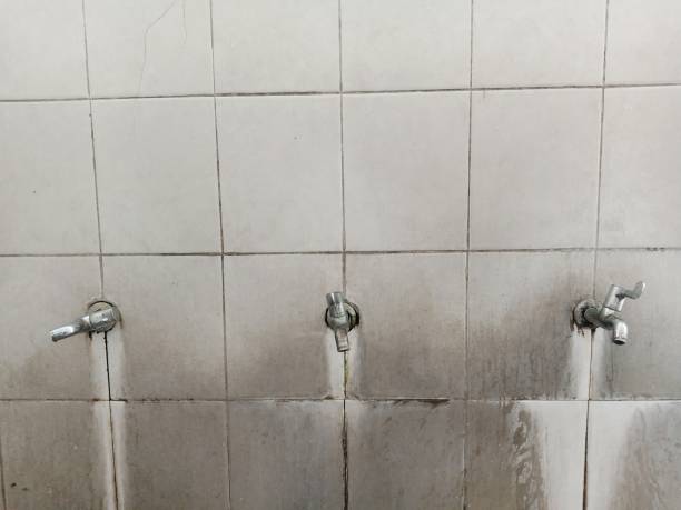 Best Local water damage restoration  in South Charleston, WV