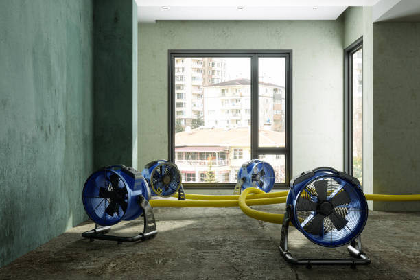 Best Fire Damage Restoration  in South Charleston, WV
